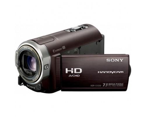Sony HDR-CX350E 